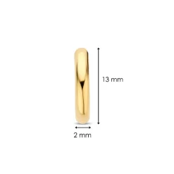 Ti Sento Boucles D'Oreilles<Boucles D'Oreilles - 7812YS Argent Anneaux Doré