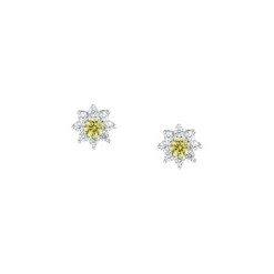 Morellato Boucles D'Oreilles<Boucles oreilles Tesori - SAIW188 Argent