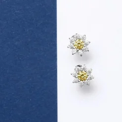 Morellato Boucles D'Oreilles<Boucles oreilles Tesori - SAIW188 Argent