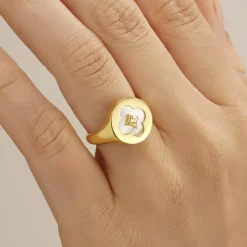 Charles Garnier Bijoux Bracelets<Bracelet Femme Legende - AGF170150R Argent