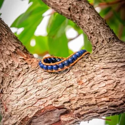 Sloya Bracelets<Bracelet FAIO05 Femme