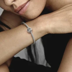 Pandora Charms<Charm Cœur et Cercles Ma Famille pour Toujours - Moments