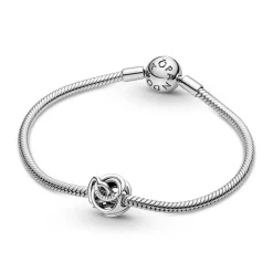 Pandora Charms<Charm Cœur et Cercles Ma Famille pour Toujours - Moments