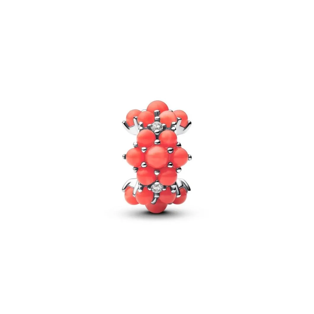 Pandora Charms<Charm Océan Couleur Corail 793897C01