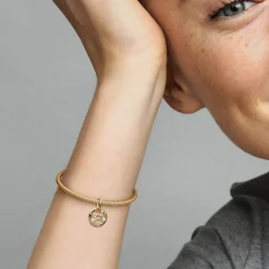 Pandora Charms<Charm Pendant Signe du Lion