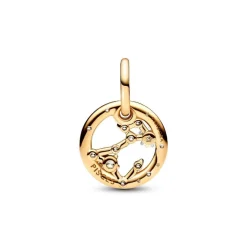 Pandora Charms<Charm Pendant Signe du Poissons