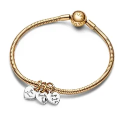 Pandora Charms<Charm Pendant Triple Séparable Amitié Bimatière