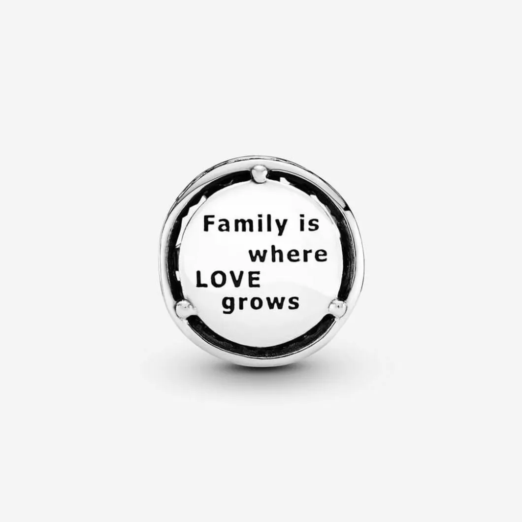 Pandora Charms<Charm Racines Familiales Ajouré Moments
