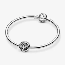 Pandora Charms<Charm Racines Familiales Ajouré Moments