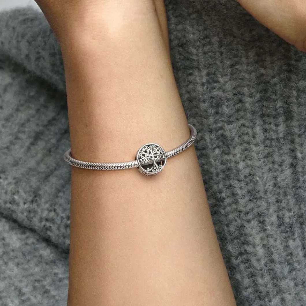 Pandora Charms<Charm Racines Familiales Ajouré Moments