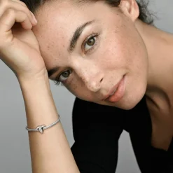 Pandora Charms<Charm Zodiaque Belier Signe Astrologique - Argent