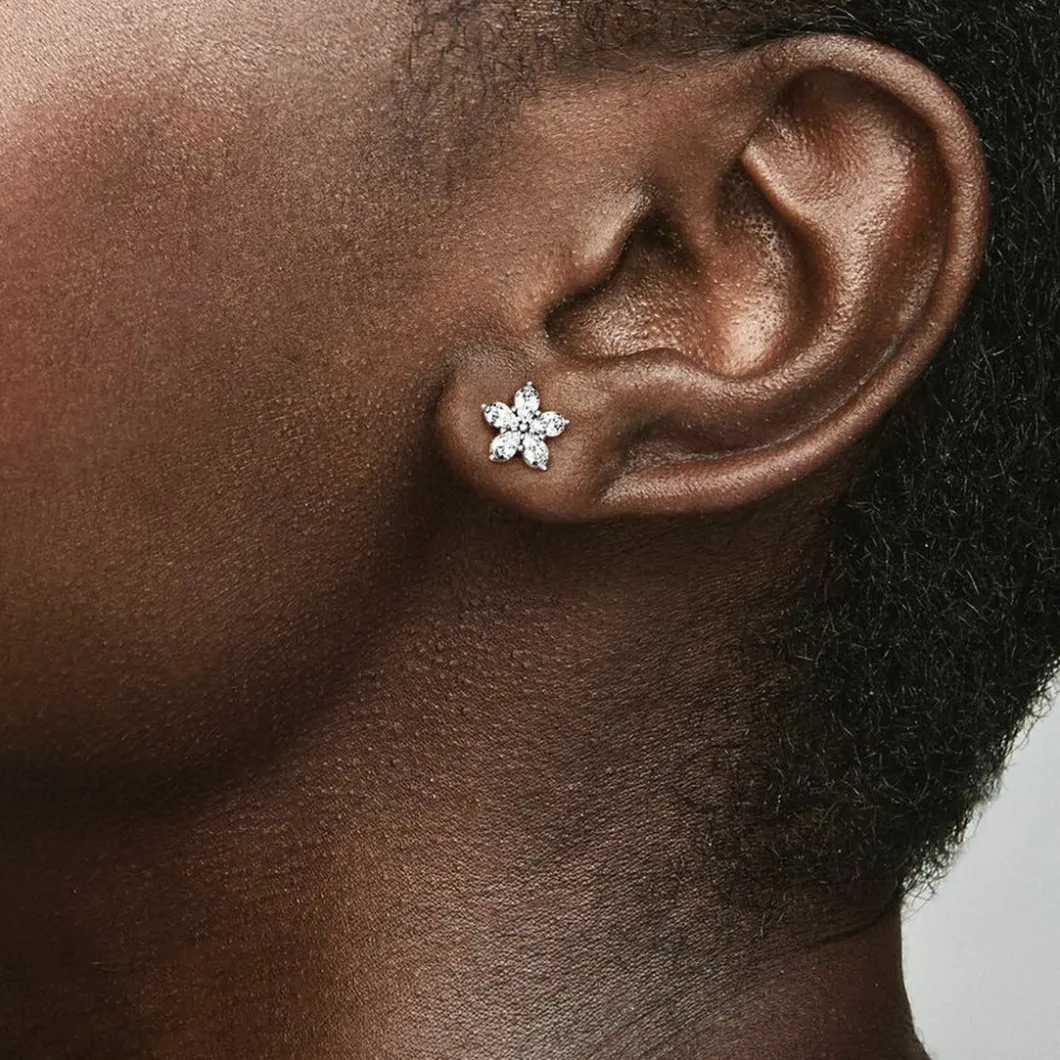 Pandora Boucles D'Oreilles<Clous d'oreilles Bijoux 299239C01 - Timeless