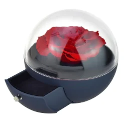 So Charm Montres Coffret<Coffret à bijoux rose éternelle rouge sous forme de globe - So Charm