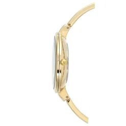 Anne Klein Montre Acier<Coffret Montre et Bracelet Acier Doré AK-1470GBST