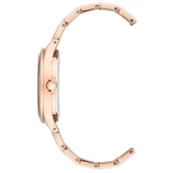 Anne Klein Montre Acier<Coffret Montre Femme AK-3416RGST