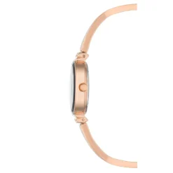 Anne Klein Montre Acier<Coffret Montre Femme AK-2536RNST