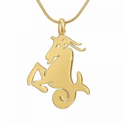 Athème Collier Et Pendentif<Collier B2427-CAPRICORNE