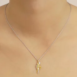 Jourdan Collier Et Pendentif<Collier Femme Tango - AJF170164N Argent