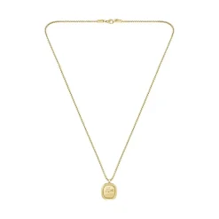 Lacoste Collier Et Pendentif<Collier Homme Vigor - 2040411 Acier Doré