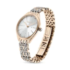 Swarovski montres Montre Acier<Montre 5610484 Swarovski