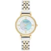 Anne Klein Montre Acier<Montre AK-3631MPTT
