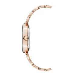 Anne Klein Montre Acier<Montre AK-1362RGRG