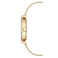 Anne Klein Montre Acier<Montre AK-3102MPGB Femme