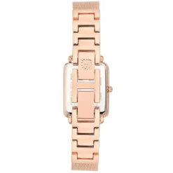 Anne Klein Montre Acier<Montre AK-3642RGST Femme