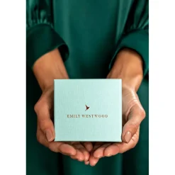 Emily Westwood Montres Montre Acier<Montre Femme EFV-314Q - Emily Westwood