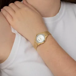 Festina Montre Acier<Montre femme Bracelet Acier Doré F20495-1