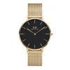 Daniel Wellington Montres Montre Acier<Montre Femme Daniel Wellington Evergold - DW00100347 Bracelet Acier Doré