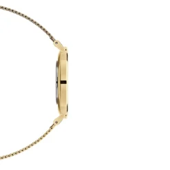 Daniel Wellington Montres Montre Acier<Montre Femme Daniel Wellington Evergold - DW00100347 Bracelet Acier Doré