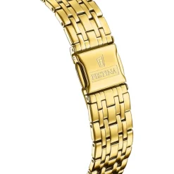 Festina Swiss Made Montre Acier<Montre Homme Classiques Acier - F20046-2 Bracelet Acier Doré